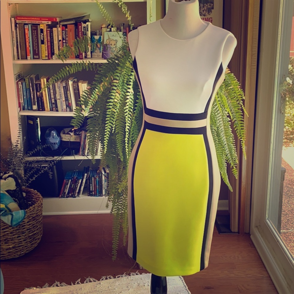 Calvin Klein bodycon color block dress